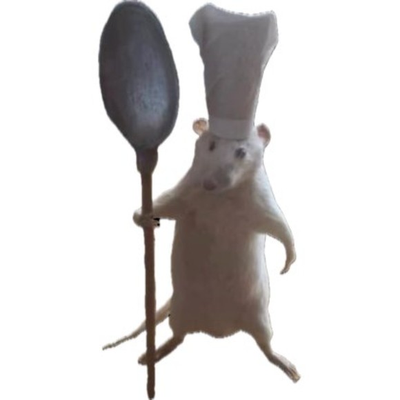 Meet your Posher, Ethan - Picture 1 of 1